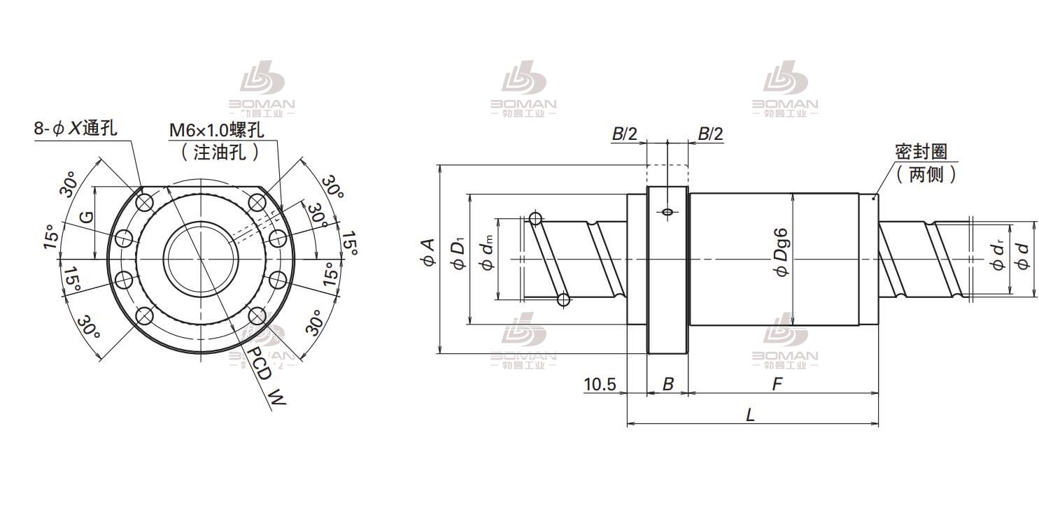 BSS3620-6E-BSS标准系列丝杠