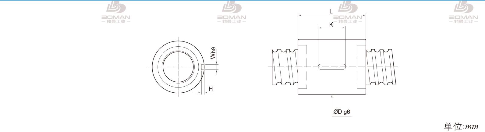 PMI RSIC5005-4 丝杆pmi是什么牌子